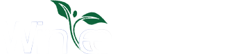 上海魏毅电子科技有限公司